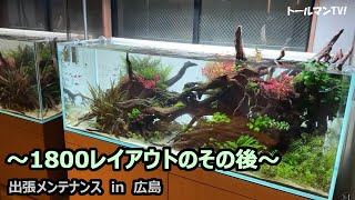 1800水槽 mqdefault.jpg