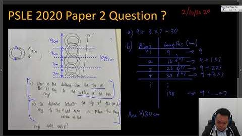PSLE 2020 Interesting Questions