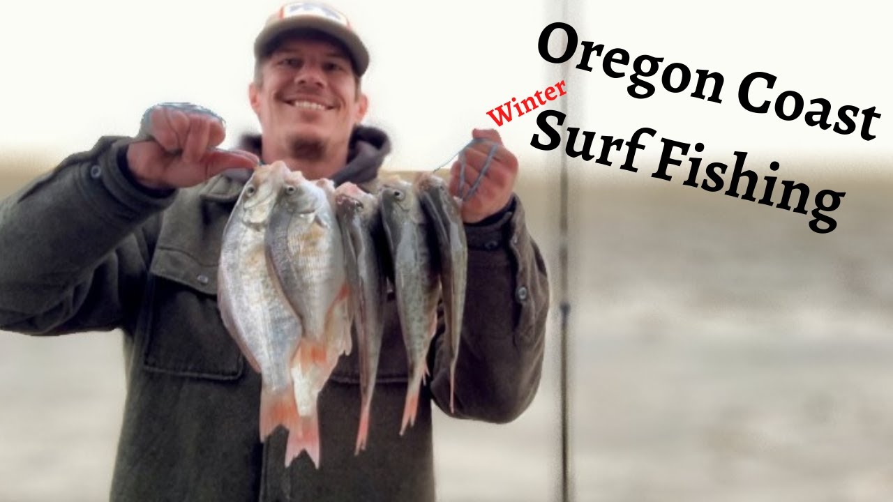 Surf Perch Fishing Oregon's North Coast - Redtail Surfperch Fishing 