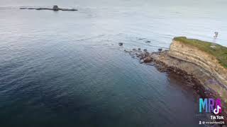IMG 4465