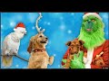 THE GRINCH STOLE SPY NINJAS DOG & PARROT🥺💔 Talking Parrot Greeting DOG💔 CHAD WILD CLAY.