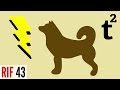 Can Dogs Smell Electricity? RIF 43