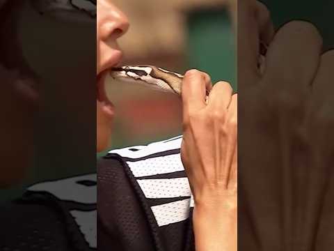 Snake In Mouth Khatronkekhiladi Shorts Viral Shortvedio