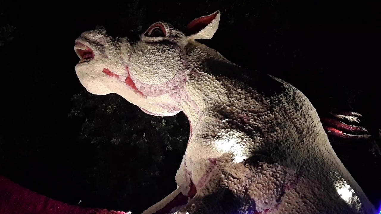 Bloemencorso Sint Jansklooster 2019