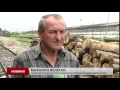 Старосамбірський лісгосп незаконно продає угорцям деревину через фірму-«прокладку», – Москаль
