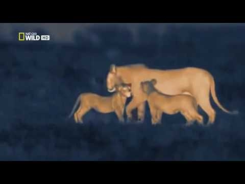 Africa