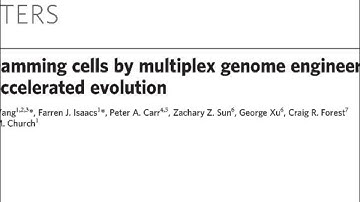 Optimization of Biosynthesis using MAGE