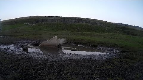 RC Fun Everyday- Axial Yeti 2s/3s, Tamiya Holiday Buggy 2s, bashing/jumping