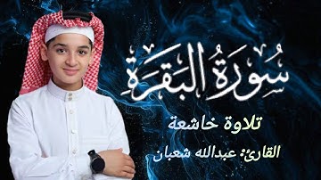 أجمل تلاوة لسورة البقرة بصوت خاشع يريح القلب | عبد الله شعبان