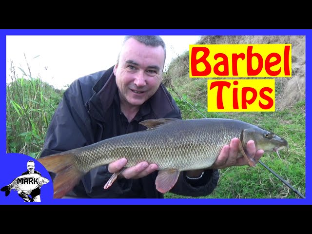 Barbel Fishing for Beginners 