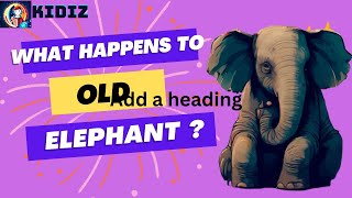 The kind hearted elephant | kids | story | cartoon animation | KIDIZ Guide
