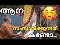 Elephant talking to mahout | ആനയും പാപ്പാനും സംസാരിക്കുന്നത് കണ്ടോ 😍 Elephant love human #elephants