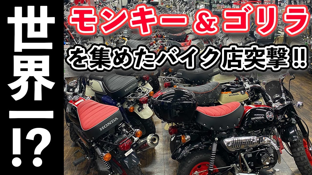 世界一!?モンキーとゴリラを集めたバイク店に突撃してみたら…! - YouTube