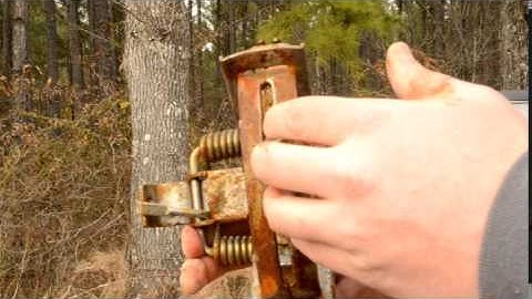 Trap Features - modified, offset, laminated jaws- what does it all mean?