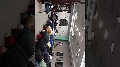 💢تلاوة فجرية💢 القارئ خالد غريسي الجزائري 🇩🇿 بمدينة فلوريدا الأمريكية 🇺🇲