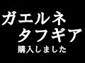 ガエルネ　タフギア　購入しました