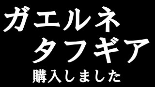 ガエルネ　タフギア　購入しました