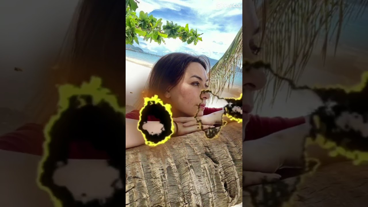 Kẻ Đứng Sau Tình Yêu - Phi Nhung 