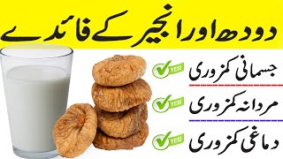 Anjeer or doodh khane ke faide | Benefits of eating Figs with milk in urdu Hindi || Anjeer Ke Fayde