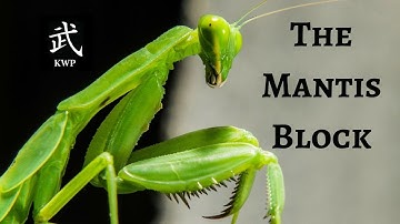 How To Do The Mantis Block!