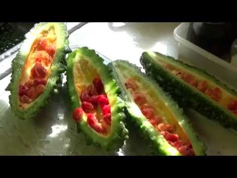 Bitter Melon How To Freeze Oag 2016 You Bitter Melon How To Freeze Oag 2016