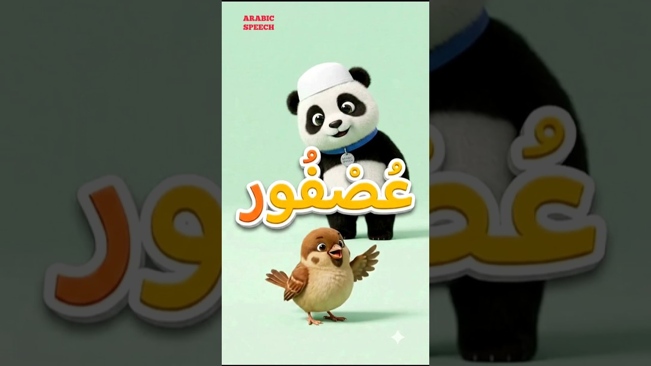 🐦🐼 Learn 12 Arabic Bird Names! | Arabic Birds for Kids with Baby Panda | ARABIC SPEECH #shorts