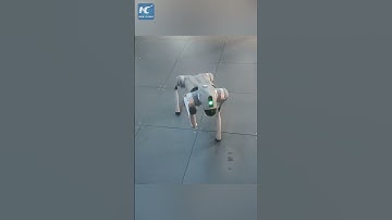 Robot restaurant opens in Beijing