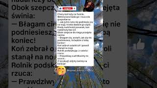 🐷 Świński ruch #dowcipy #śmieszne #humor #komedia #śmiech #polska #śmiesznefilmy #kawały
