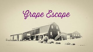 Advertising video for grape escape wine tours