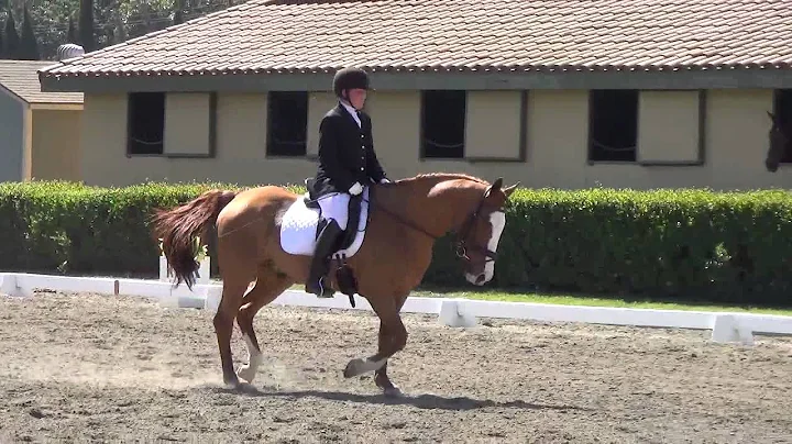 A Shrader Sir Frederick T 3