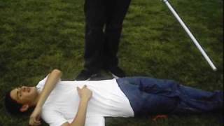 The Last Scene in Hamlet