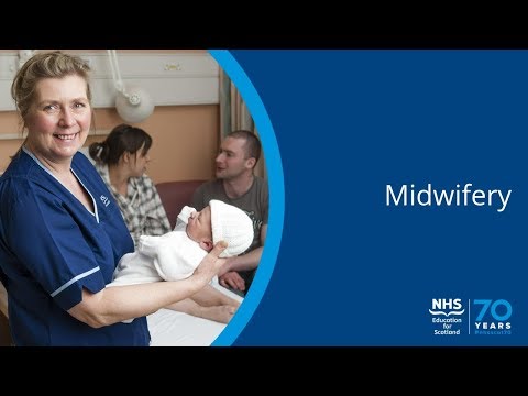 NHSScot70 - Midwifery