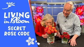 What's the Secret Rose Code? - Living in Bloom with J Schwanke