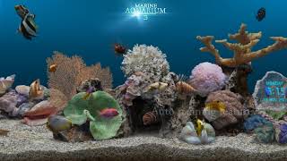 Marine Aquarium 3 2  for Android screenshot 4