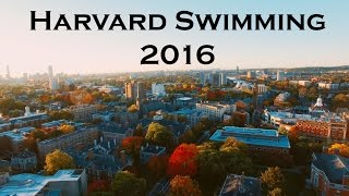 Harvard Swimming - A New Perspective