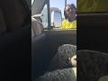 مسي الاحساء مسي الاحساء