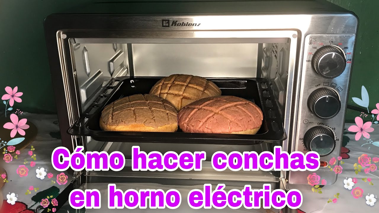 Cookies espelta choco ecologico s/p HORNO DE LEÃ'A 220 gr BIO - tienda