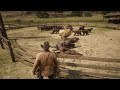Lion killing all panthers in the ranch
