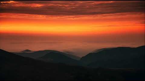 ما أجملها تلاوه هادئه تُرقق القلوب | محمد الشاذلـي