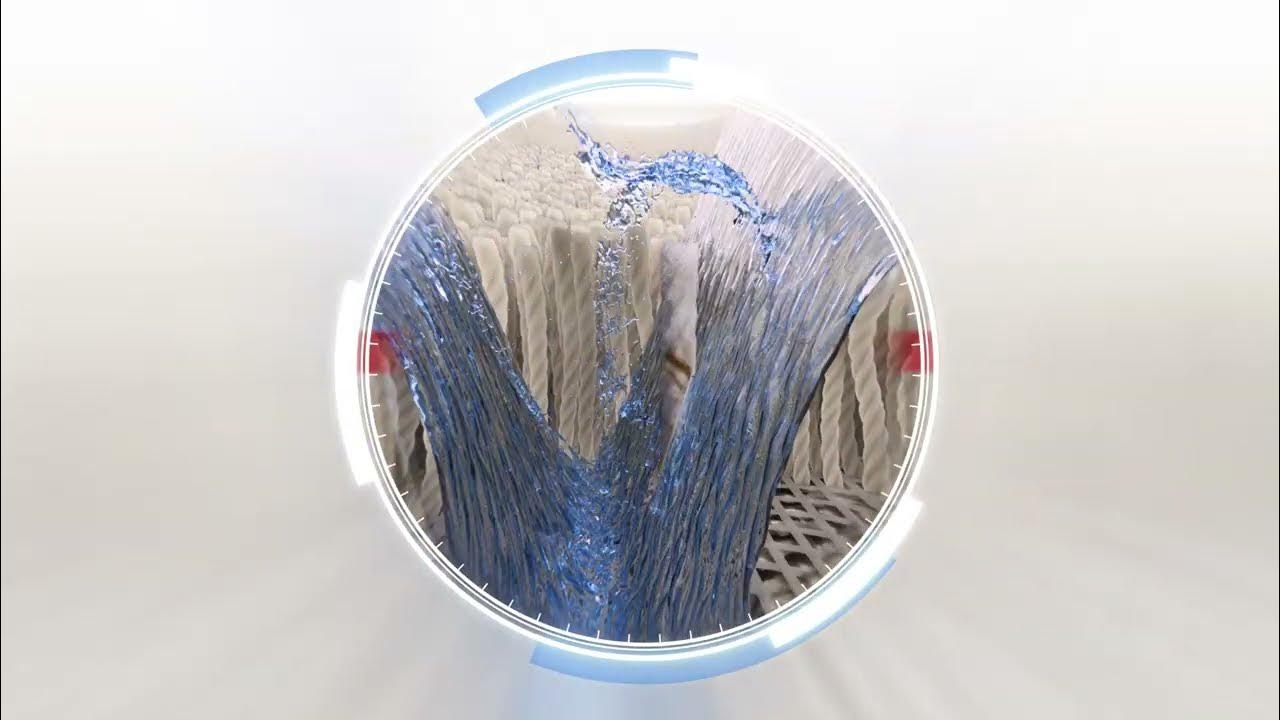 Zerorez No Residue Carpet Cleaning is Safe for People, Pets, and the