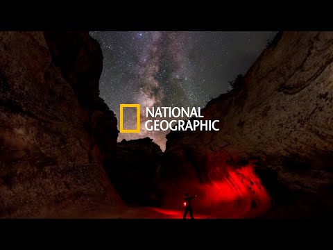 National Geographic España - App su Google Play