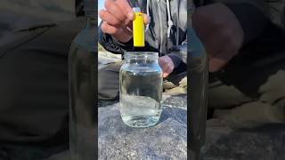 Famous I demonstrate skills of Simplifying Survival in the wild #outdoors #survival #forest#camping Net Worth