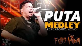 PUTA MEDLEY - FELIPE AMORIM [REP.NOVO]