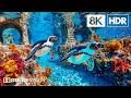 Enchanting Tropical Ocean Creatures in 8K HDR | Dolby Vision™