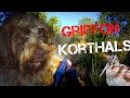 Chasse bcasse avec mon griffon korthals sud ouest  gironde 2021 