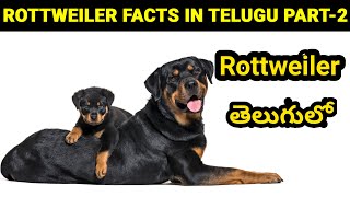 Rottweiler Dog Facts Part 2 తెలుగులో