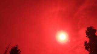 DSCN0118