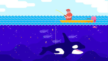 What are zooplankton, and why do they matter?