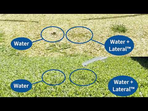 Lateral Wetting Agent Demonstration on Hydrophobic Turf - video from Exacto