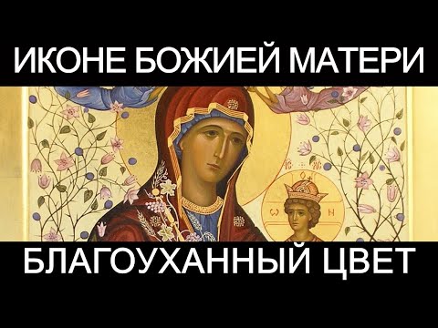 Молитва пред иконою Божией Матери Благоуханный Цвет